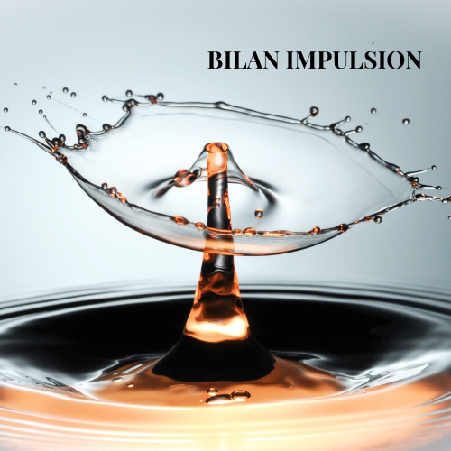 bilan impulsion APE Bilan de compétences impulsion - 22H