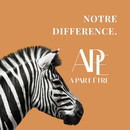 APE notre différence Présentation A PART ÊTRE - j'étais-je suis-j'étais - Lyon